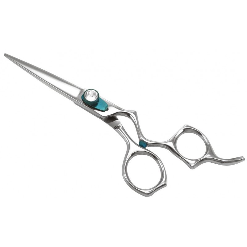 Professional Razor Shears