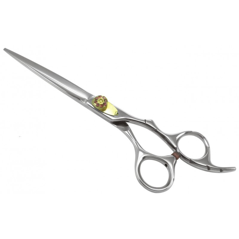 Professional Razor Shears