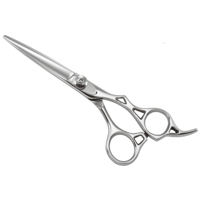 Professional Razor Shears