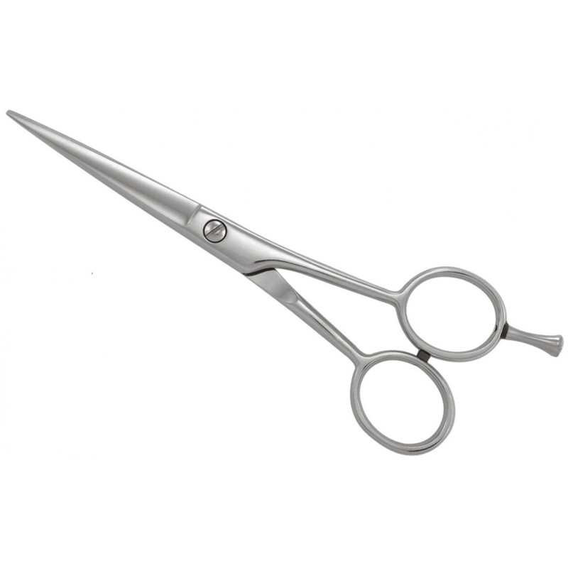 Professional Razor Shears