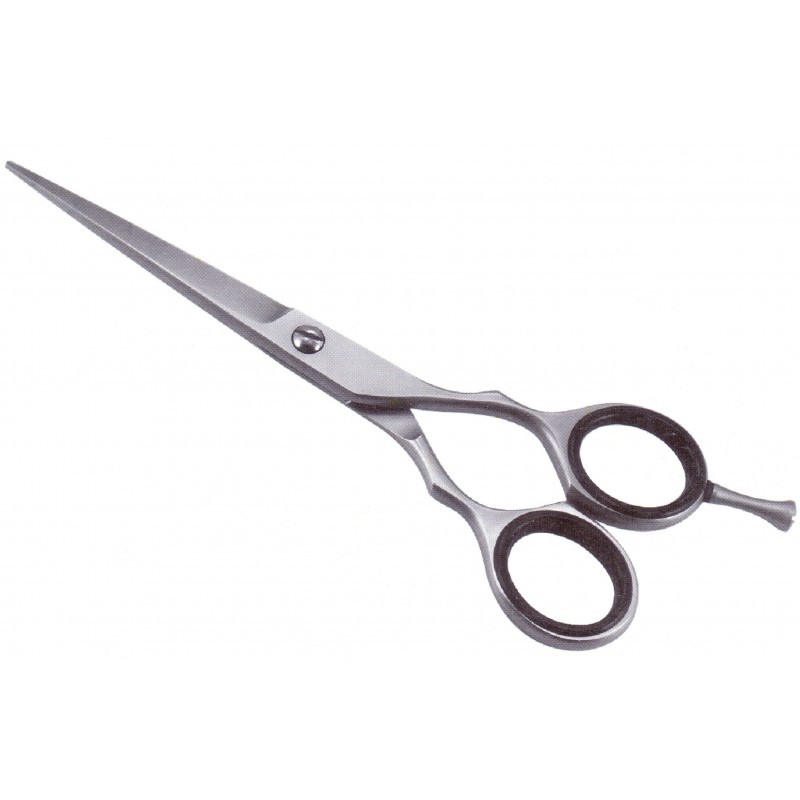 Professional Razor Shears