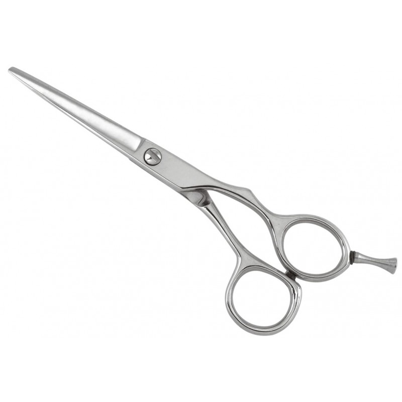 Professional Razor Shears