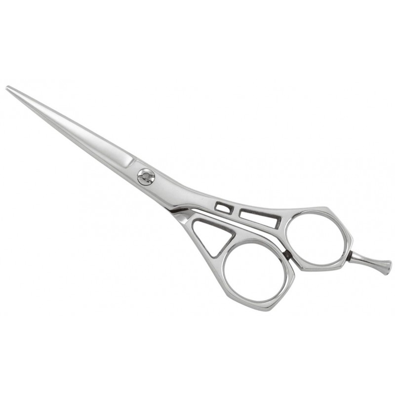 Professional Razor Shears