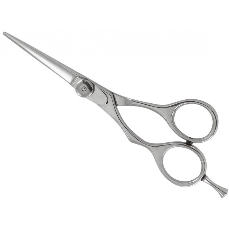 Professional Razor Shears