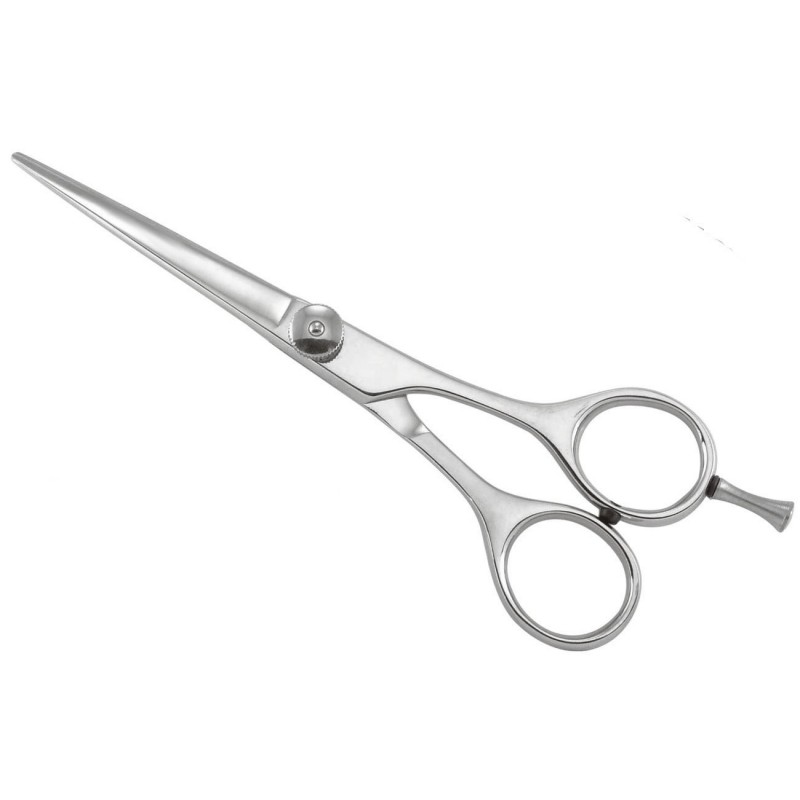 Professional Razor Shears