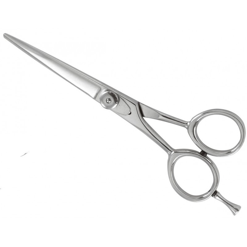 Professional Razor Shears