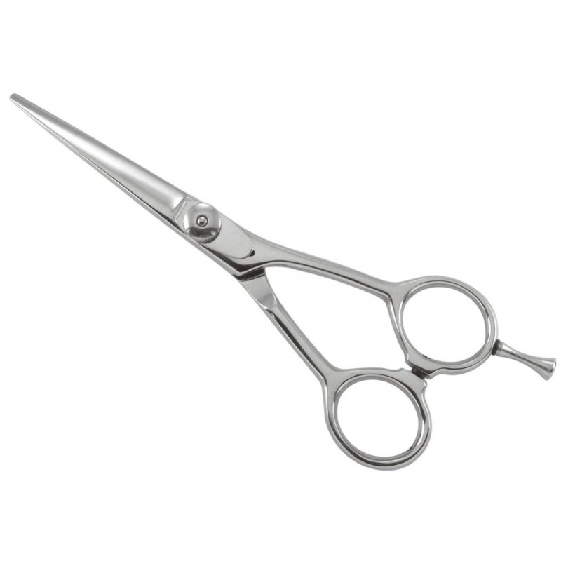 Professional Razor Shears