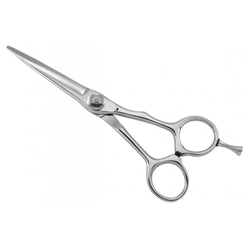 Professional Razor Shears