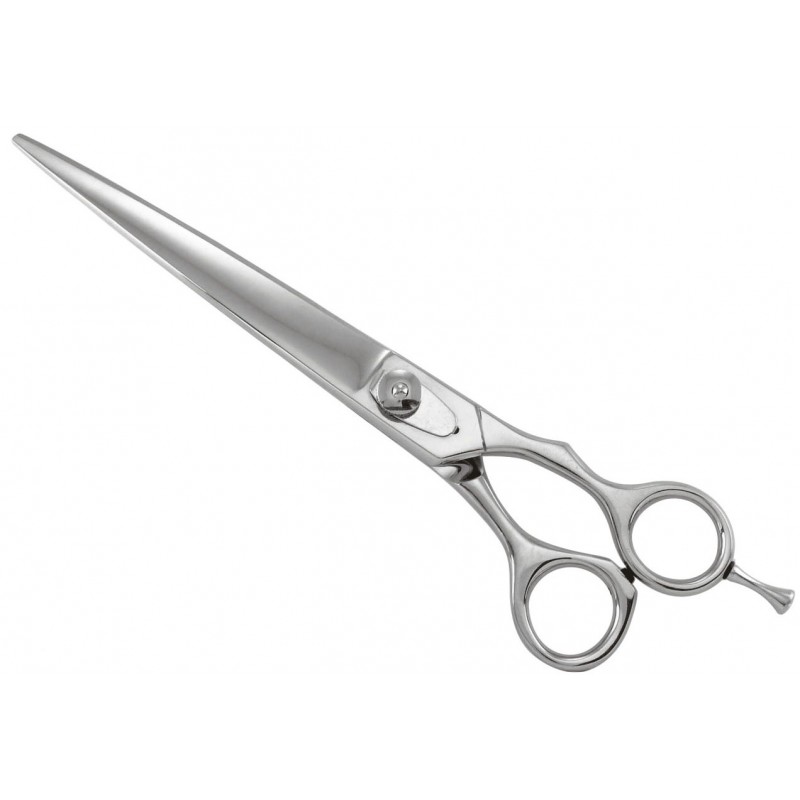 Professional Razor Shears