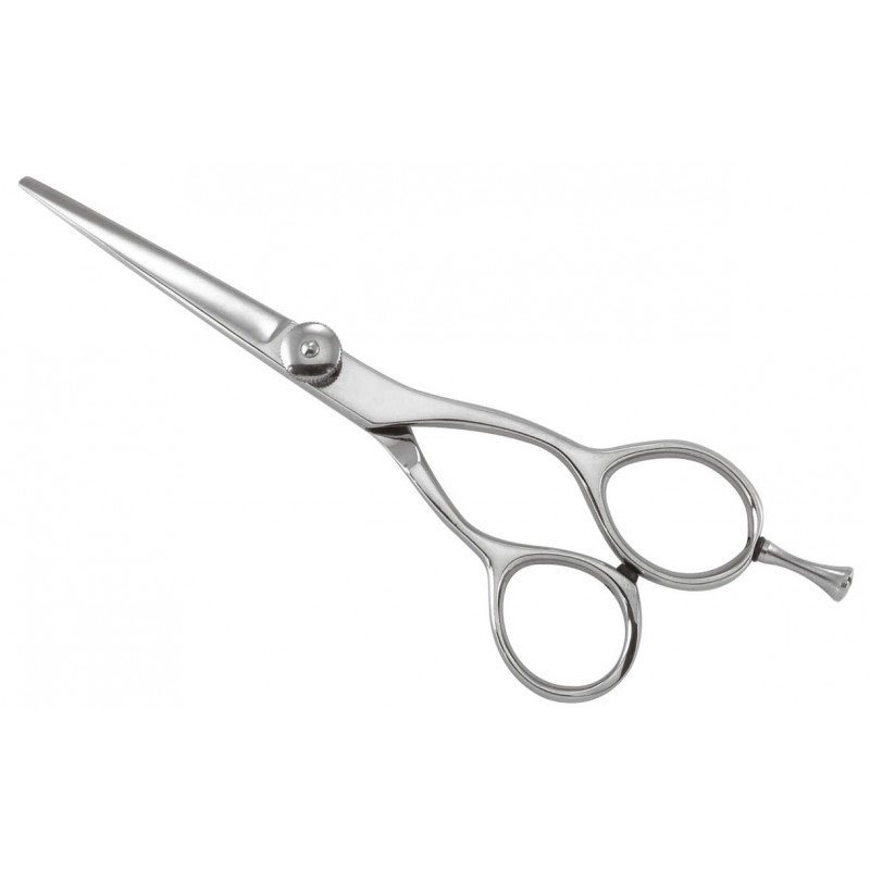 Professional Razor Shears