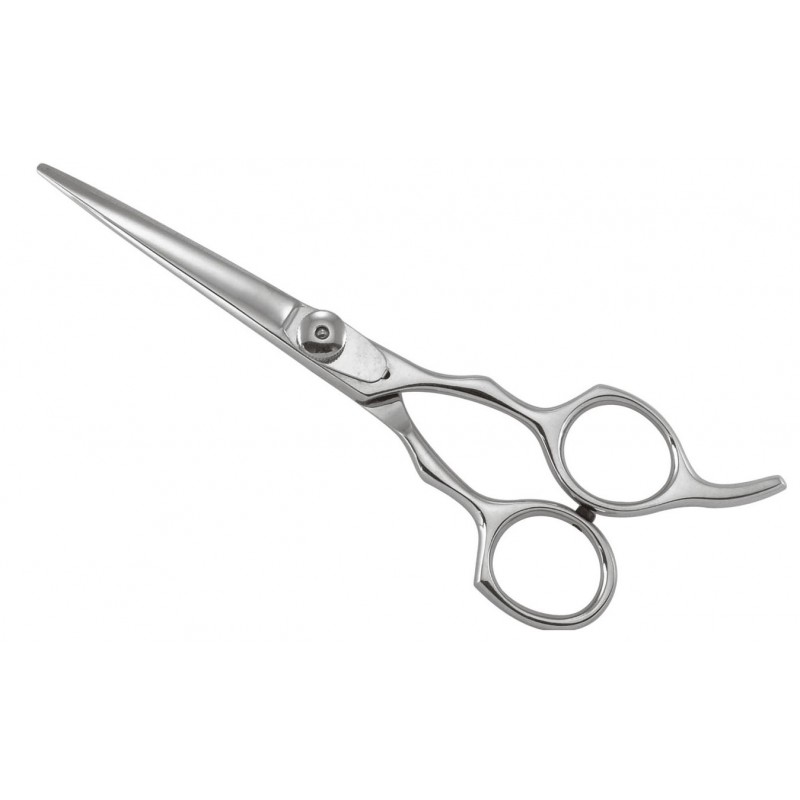 Professional Razor Shears