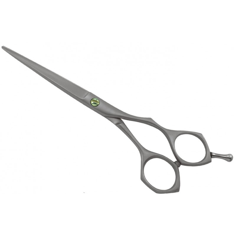 Professional Hair Cutting Shear