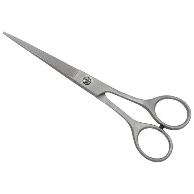 Professional Hair Cutting Shear