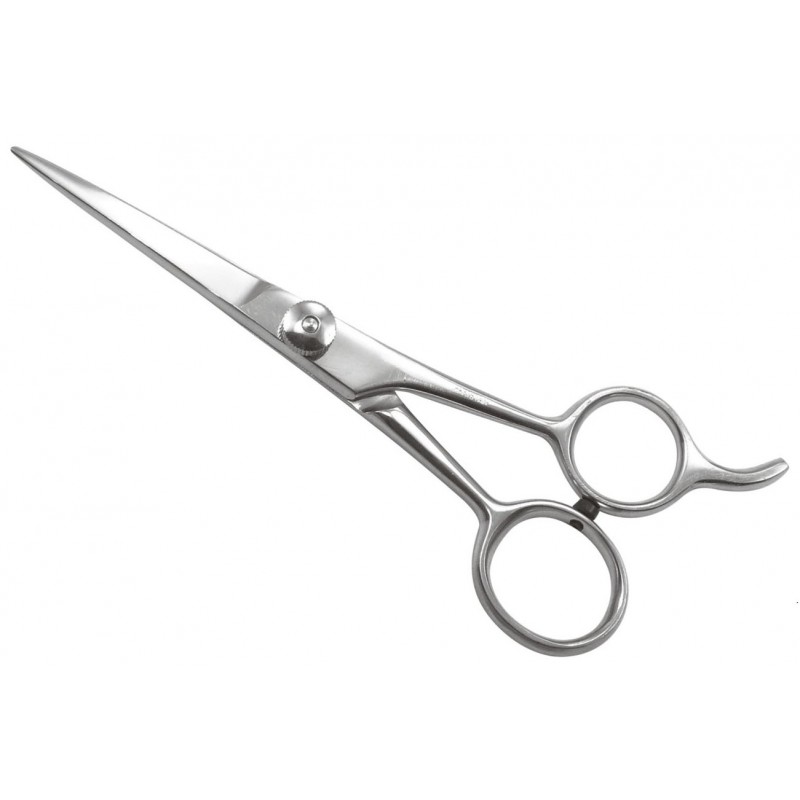 Professional Hair Cutting Shear